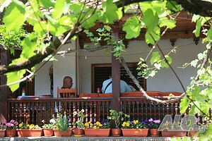 image_3