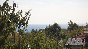 image_11