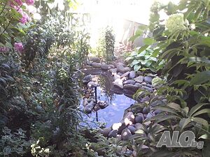 image_10