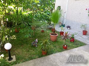 image_19