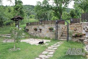 image_5
