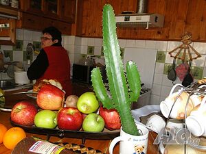 image_23