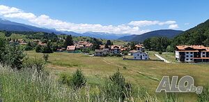 image_37