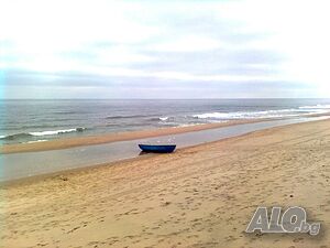 image_33