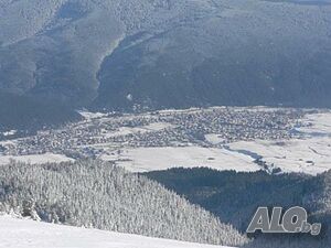 image_9
