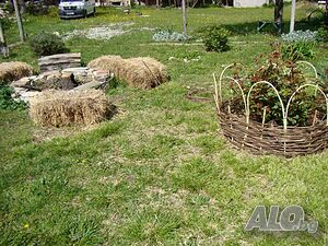 image_18