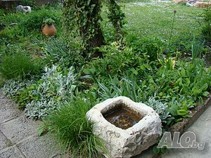image_19