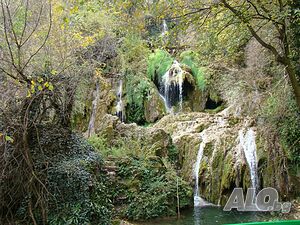 image_26