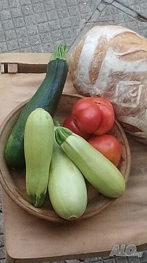 image_41
