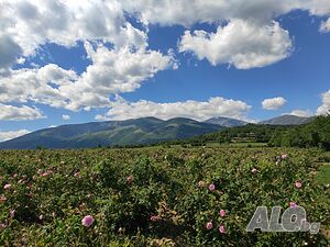 image_34