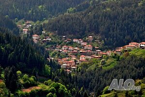 image_14