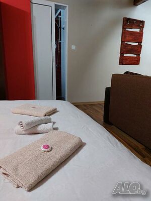 image_11