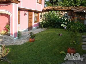 image_3