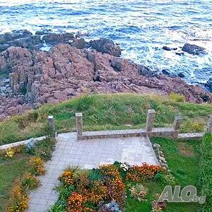 image_21
