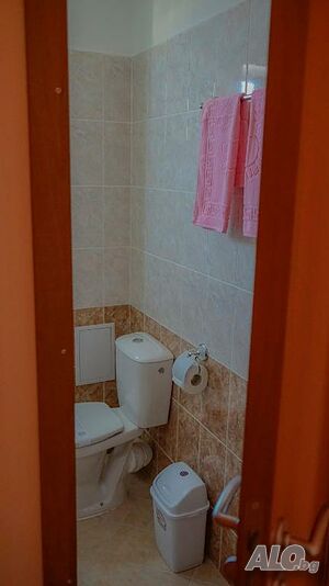 image_19