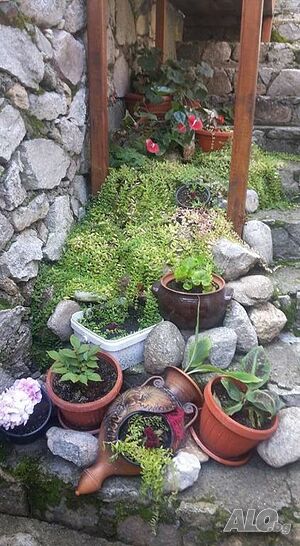 image_20