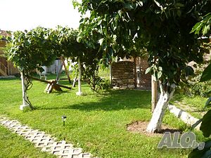 image_6