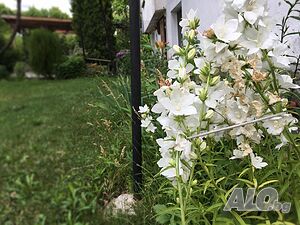 image_20
