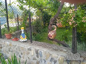 image_18