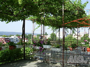 image_3