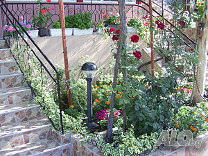 image_5