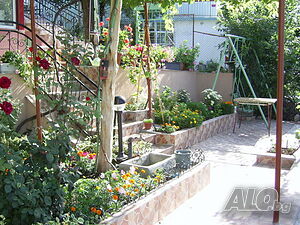 image_6