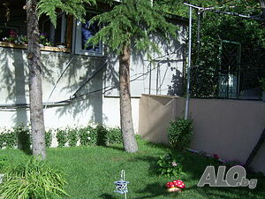 image_7
