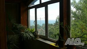 image_19
