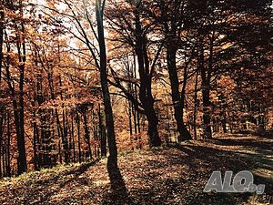 image_12