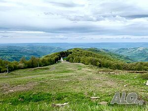 image_23