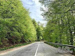 image_25
