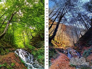 image_30