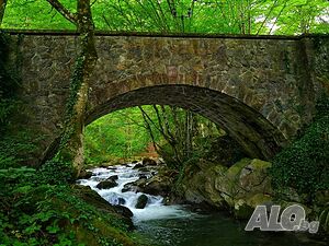 image_33