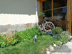 image_17