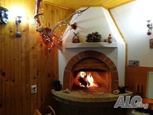 image_19