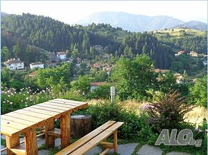 image_25