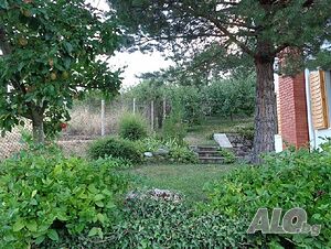 image_36