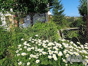image_37
