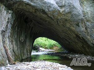 image_44