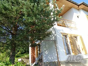 image_39