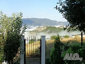 image_40