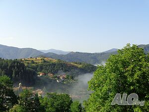 image_41