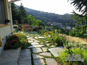 image_42