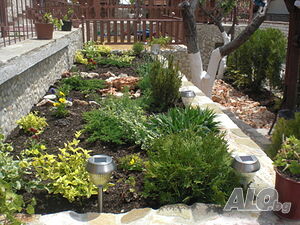 image_5