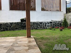 image_19