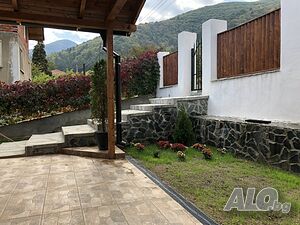 image_12