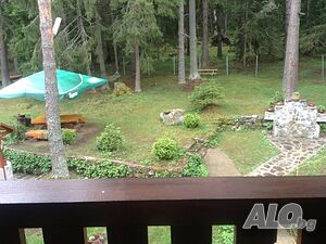 image_7