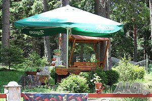 image_11