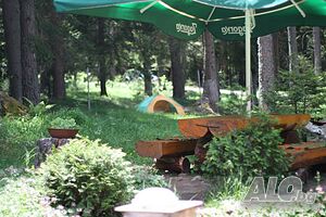 image_13