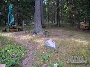 image_15